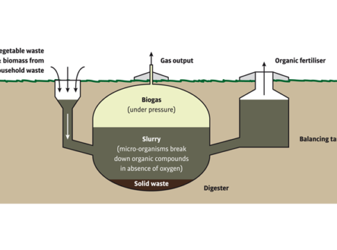 biodigester